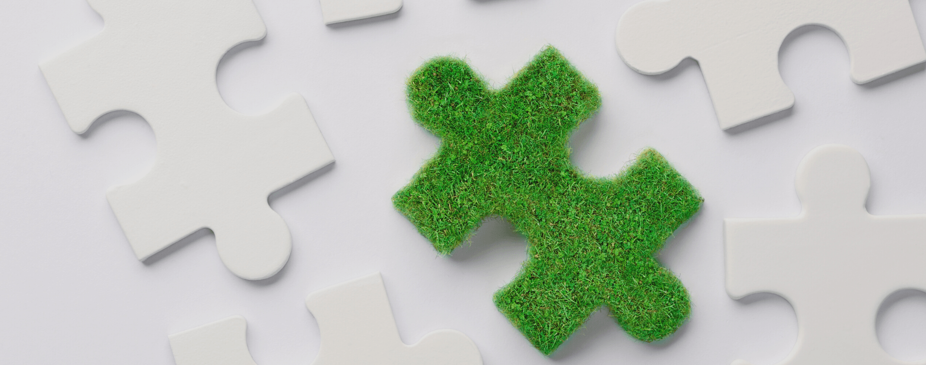 Green Marketing: ¿Qué es y cómo beneficia a tu empresa?